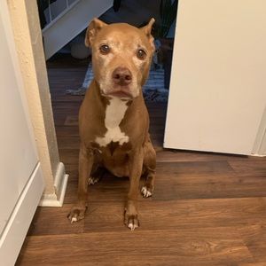 Peaches my everything